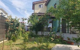 Vila Fara Nume